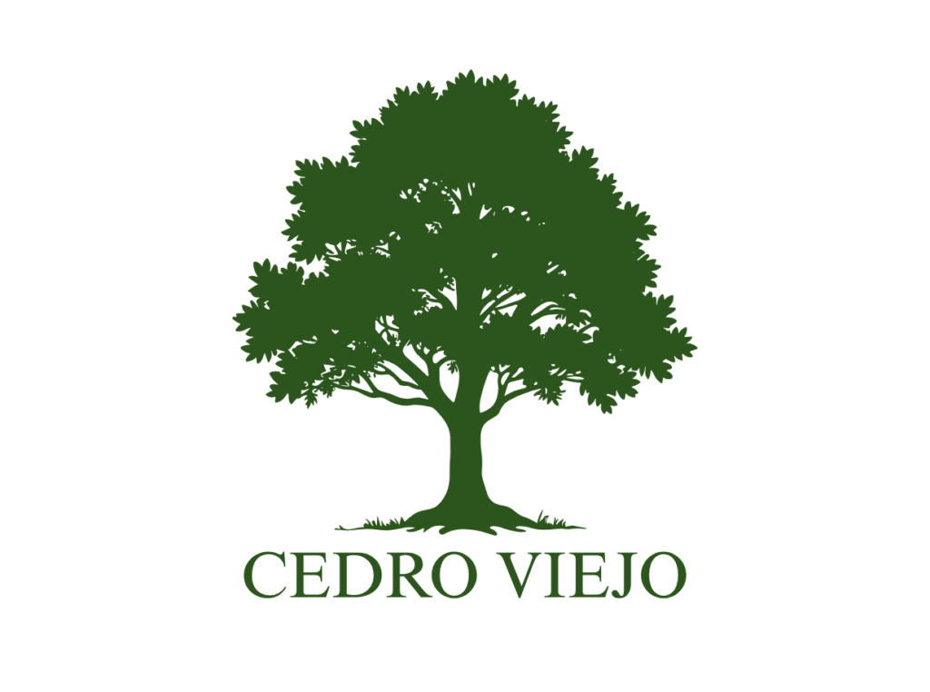 logo fondo transparente 1236x920